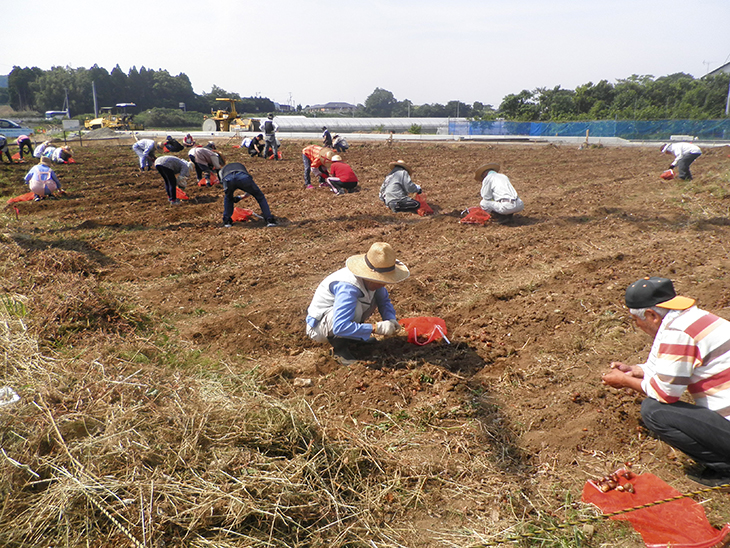 2年目の 被災地に花を咲かせよう プロジェクト 本渡rc 国際ロータリー第27地区 熊本 大分